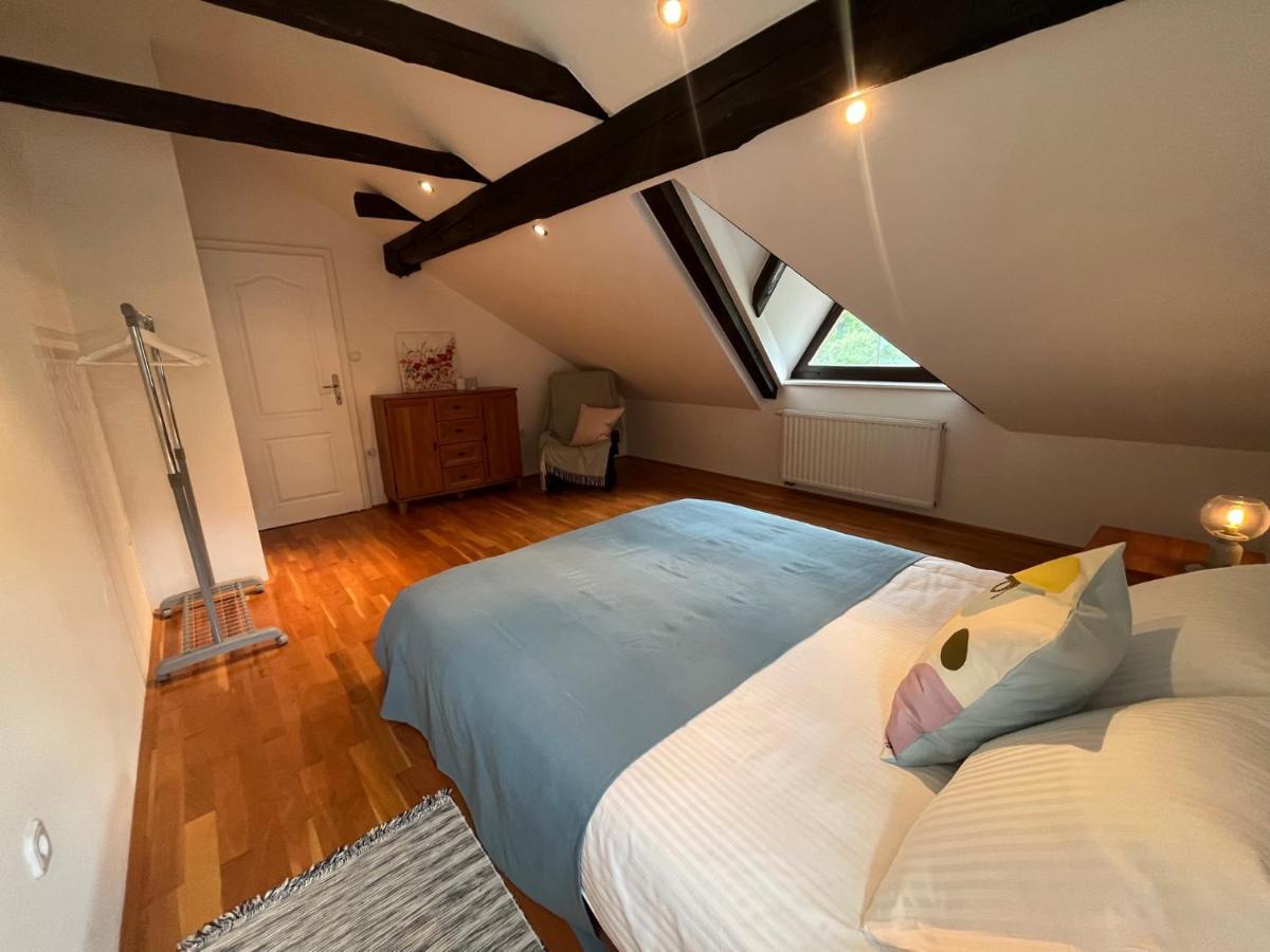 Riverside Villa Avo - Apartment Sara Spodnja Idrija Ngoại thất bức ảnh
