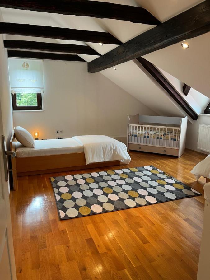 Riverside Villa Avo - Apartment Sara Spodnja Idrija Ngoại thất bức ảnh
